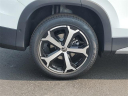 Thumbnail image of 2025 Volkswagen Tiguan at Fox Automotive Group Inc. Toyota Volkswagen