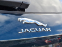 Thumbnail image of 2021 Jaguar F-PACE at Piazza Jaguar Land Rover Willow Grove