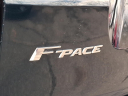 Thumbnail image of 2021 Jaguar F-PACE at Piazza Jaguar Land Rover Willow Grove