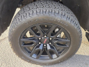 Thumbnail image of 2020 Chevrolet Silverado 1500 at Baja Auto Sales West -  Used