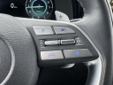 Thumbnail image of 2025 Hyundai PALISADE at Advantage Hyundai Genesis of North Shore