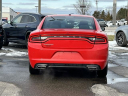 Thumbnail image of 2022 Dodge Charger at Lasco Ford