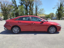Thumbnail image of 2024 Hyundai ELANTRA at Berglund Chevrolet