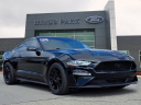 Thumbnail image of 2018 Ford Mustang at Hines Park Ford