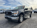 Thumbnail image of 2021 Ford F-150 at USED - Serra Traverse City