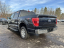 Thumbnail image of 2021 Ford F-150 at USED - Serra Traverse City