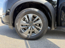 Thumbnail image of 2024 Nissan Pathfinder at JT's Chrysler Jeep Dodge (new)