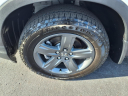 Thumbnail image of 2023 Honda Ridgeline at Greenville Toyota