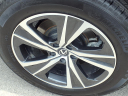 Thumbnail image of 2024 Lexus RX 350 at Ken Stoepel Ford