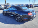 Thumbnail image of 2022 Ford Mustang at Bates Ford