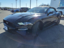 Thumbnail image of 2022 Ford Mustang at Bates Ford