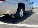 Thumbnail image of 2014 Chevrolet Suburban at Big Sids Auto Sales