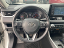 Thumbnail image of 2021 Toyota RAV4 at Cavender Toyota
