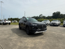 Thumbnail image of 2022 Toyota RAV4 at Courtesy Lincoln on Ambassador