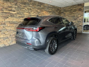 Thumbnail image of 2022 Lexus NX 350h at Lexus Of Lehigh Valley