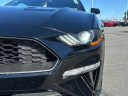 Thumbnail image of 2023 Ford Mustang at Elk Grove Chrysler Dodge Jeep Ram