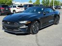 Thumbnail image of 2023 Ford Mustang at Elk Grove Chrysler Dodge Jeep Ram
