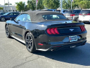 Thumbnail image of 2023 Ford Mustang at Elk Grove Chrysler Dodge Jeep Ram