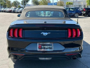 Thumbnail image of 2023 Ford Mustang at Elk Grove Chrysler Dodge Jeep Ram