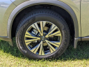 2022 Nissan Rogue SV at Lee Nissan