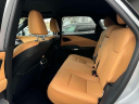 Thumbnail image of 2024 Lexus RX 350 at Lexus of Freeport