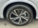 Thumbnail image of 2024 Lexus RX 350 at Lexus of Freeport