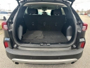 Thumbnail image of 2023 Ford Escape at Bill Collins Ford Lincoln Of Louisville