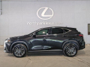 Thumbnail image of 2024 Lexus NX 350 at North Park Lexus Used