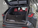 Thumbnail image of 2024 Lexus NX 350 at North Park Lexus Used