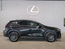 Thumbnail image of 2024 Lexus NX 350 at North Park Lexus Used