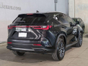 Thumbnail image of 2024 Lexus NX 350 at North Park Lexus Used