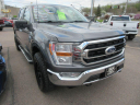 Thumbnail image of 2022 Ford F-150 at DAM AUTO SALES INC.
