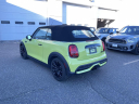 Thumbnail image of 2024 MINI Convertible at BMW Mini of Freeport