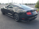 Thumbnail image of 2023 Ford Mustang at Lakeland Toyota - New