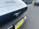 Thumbnail image of 2023 Ford Mustang at Dana Ford Lincoln