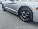 Thumbnail image of 2023 Ford Mustang at Dana Ford Lincoln