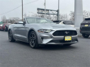 Thumbnail image of 2023 Ford Mustang at Dana Ford Lincoln