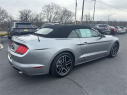 Thumbnail image of 2023 Ford Mustang at Dana Ford Lincoln
