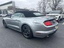 Thumbnail image of 2023 Ford Mustang at Dana Ford Lincoln