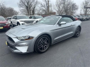 Thumbnail image of 2023 Ford Mustang at Dana Ford Lincoln