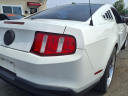 Thumbnail image of 2010 Ford Mustang at Automotive Network Auto Sales