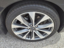 Thumbnail image of 2023 Nissan Maxima at Mathews Nissan