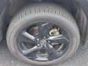 Thumbnail image of 2020 Toyota RAV4 Hybrid at Peak Kia Colorado Springs - Used
