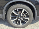 Thumbnail image of 2020 Nissan Rogue at Woodbury Nissan Inc