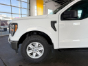 Thumbnail image of 2023 Ford F-150 at Melton Sales