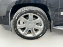 Thumbnail image of 2019 Cadillac Escalade at Fred Beans Buick GMC Doylestown
