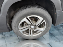 Thumbnail image of 2019 GMC Terrain at Dave Cross Motors