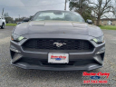 Thumbnail image of 2021 Ford Mustang at Shetler-CorleyFord of Crowley, LA