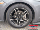 Thumbnail image of 2021 Ford Mustang at Shetler-CorleyFord of Crowley, LA