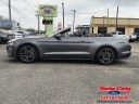 Thumbnail image of 2021 Ford Mustang at Shetler-CorleyFord of Crowley, LA